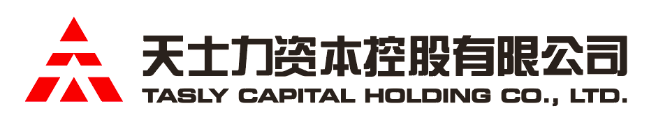 俄罗斯专享会294资本控股有限公司